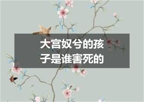 大宫奴兮的孩子是谁害死的