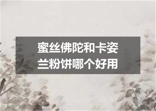 蜜丝佛陀和卡姿兰粉饼哪个好用