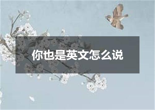 你也是英文怎么说