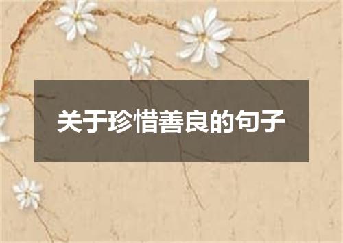 关于珍惜善良的句子