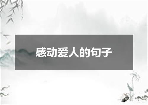 感动爱人的句子