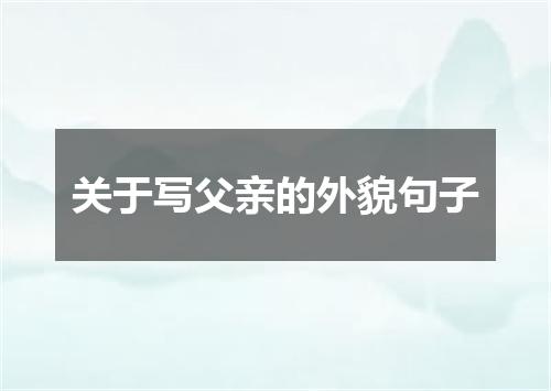 关于写父亲的外貌句子
