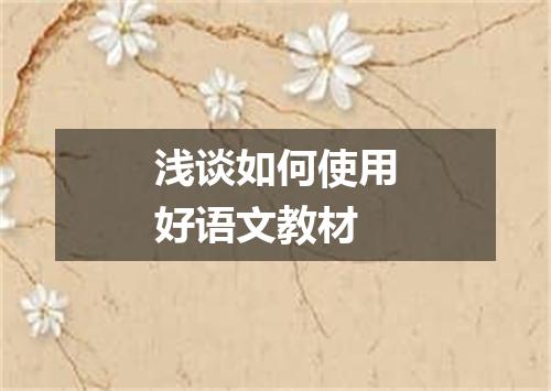 浅谈如何使用好语文教材