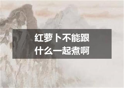 红萝卜不能跟什么一起煮啊