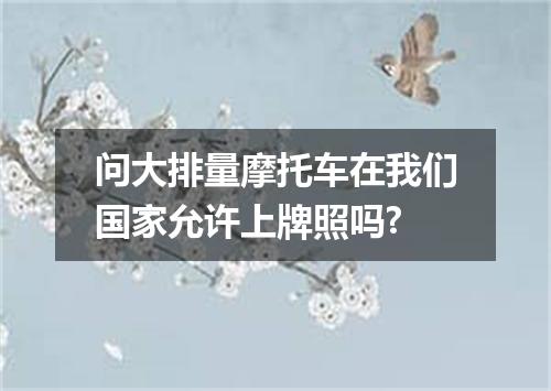 问大排量摩托车在我们国家允许上牌照吗?