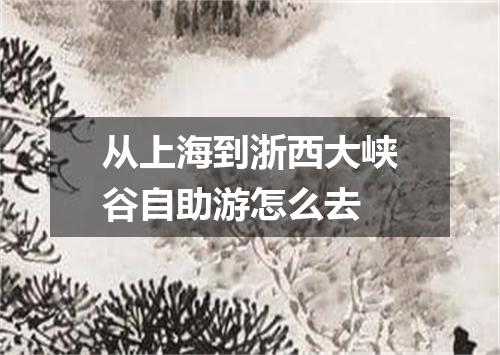 从上海到浙西大峡谷自助游怎么去