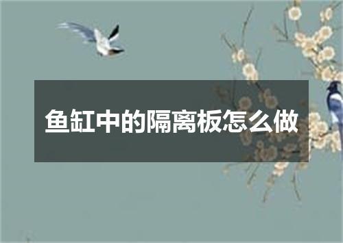 鱼缸中的隔离板怎么做
