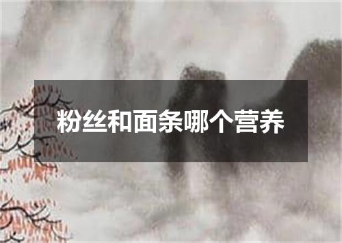 粉丝和面条哪个营养