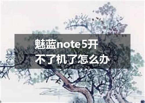 魅蓝note5开不了机了怎么办