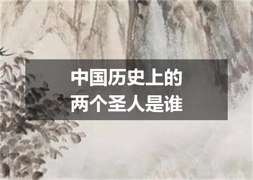 中国历史上的两个圣人是谁