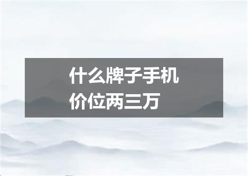 什么牌子手机价位两三万