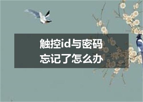 触控id与密码忘记了怎么办