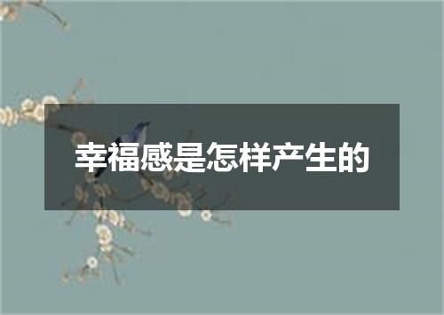 幸福感是怎样产生的