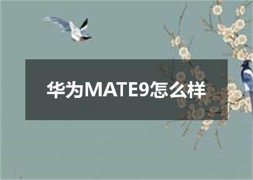 华为MATE9怎么样