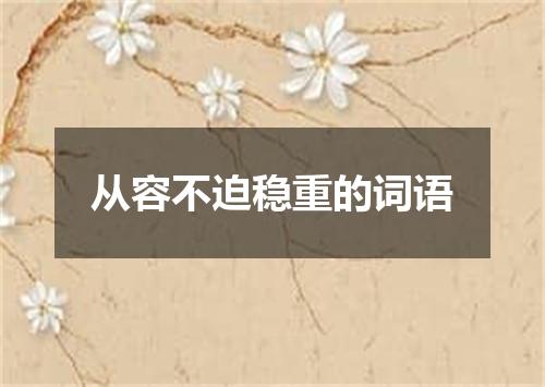 从容不迫稳重的词语