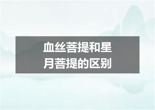 血丝菩提和星月菩提的区别