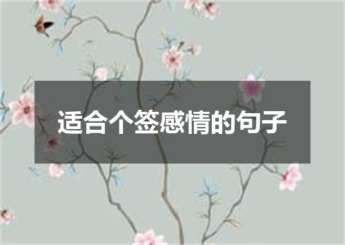 适合个签感情的句子