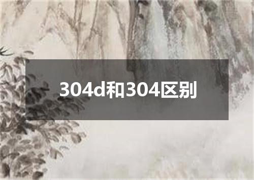 304d和304区别