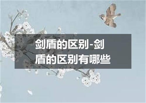 剑盾的区别-剑盾的区别有哪些