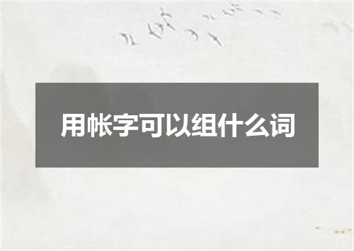 用帐字可以组什么词
