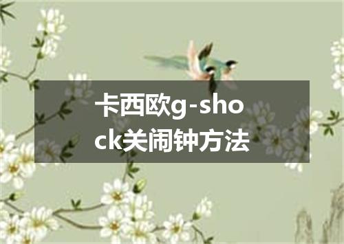 卡西欧g-shock关闹钟方法