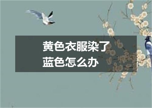 黄色衣服染了蓝色怎么办