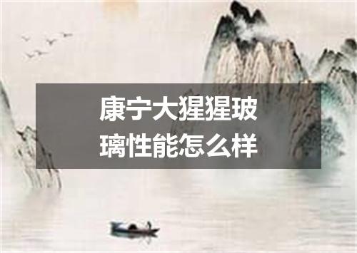 康宁大猩猩玻璃性能怎么样