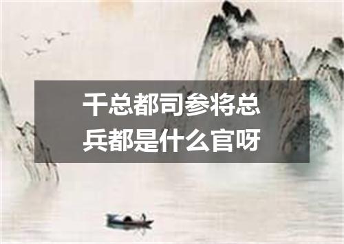 千总都司参将总兵都是什么官呀