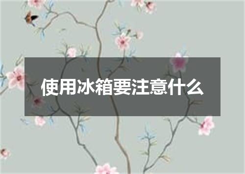 使用冰箱要注意什么