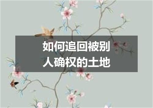 如何追回被别人确权的土地