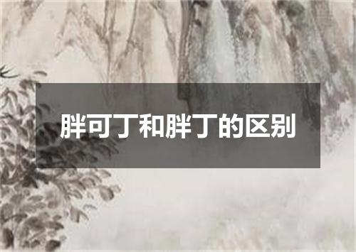 胖可丁和胖丁的区别