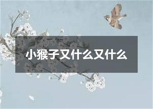 小猴子又什么又什么