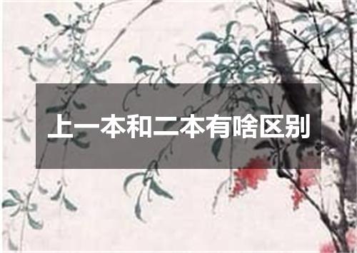 上一本和二本有啥区别