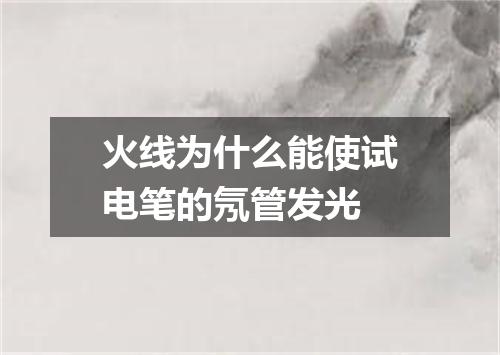 火线为什么能使试电笔的氖管发光