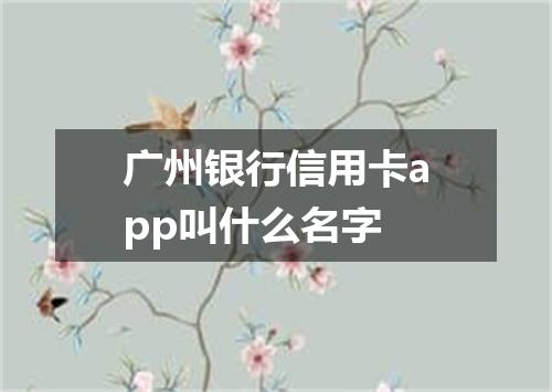 广州银行信用卡app叫什么名字