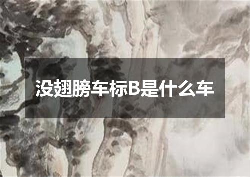 没翅膀车标B是什么车