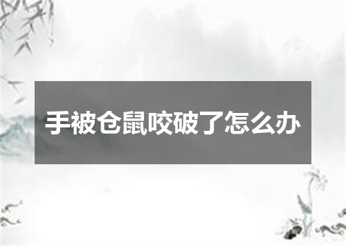 手被仓鼠咬破了怎么办