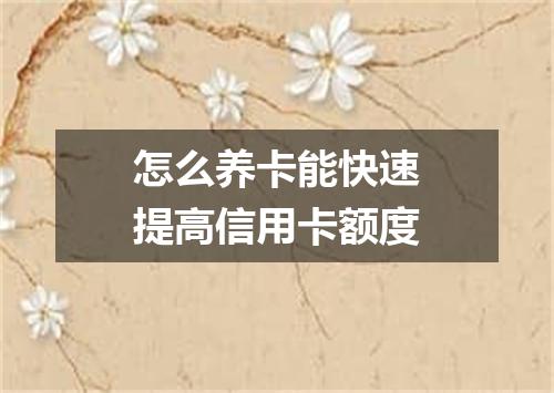 怎么养卡能快速提高信用卡额度