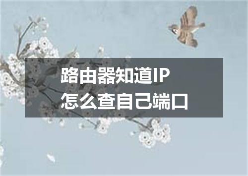 路由器知道IP怎么查自己端口