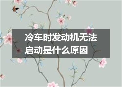 冷车时发动机无法启动是什么原因