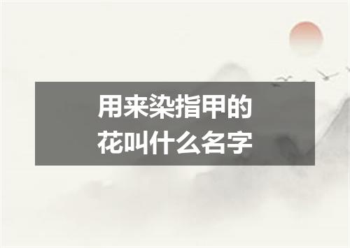 用来染指甲的花叫什么名字