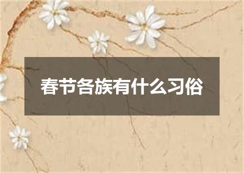 春节各族有什么习俗