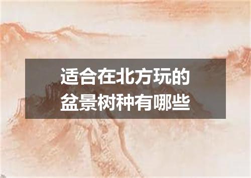 适合在北方玩的盆景树种有哪些