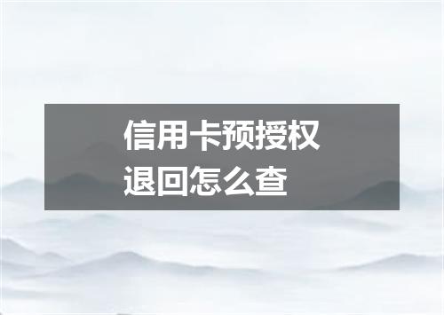 信用卡预授权退回怎么查