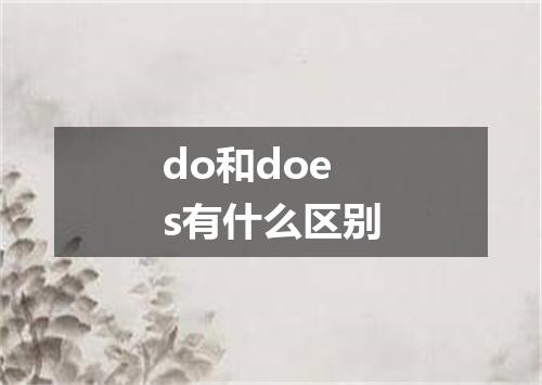 do和does有什么区别