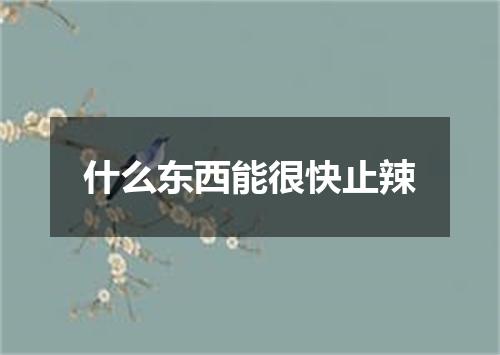 什么东西能很快止辣