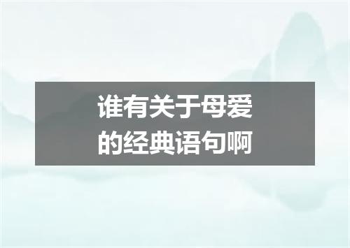 谁有关于母爱的经典语句啊