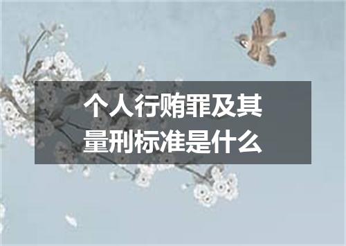 个人行贿罪及其量刑标准是什么