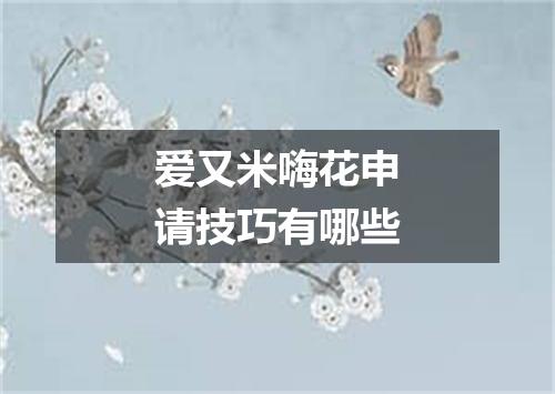 爱又米嗨花申请技巧有哪些