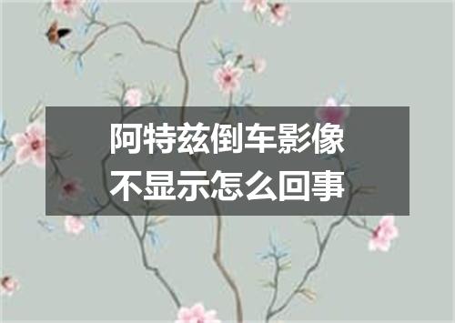 阿特兹倒车影像不显示怎么回事